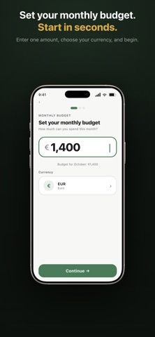 Nesti · Budget Planner screenshot