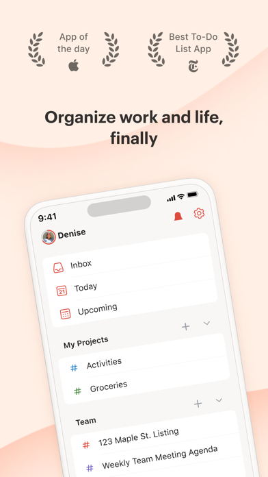 Todoist: To-Do List & Planner Screenshot