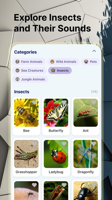 Animal Echos app screenshot
