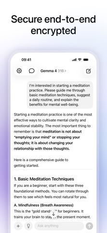 Locally AI by LM Studio iPhone screenshot 4 — productivity app by Element Labs Inc