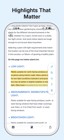 InfoFlow: Pocket Alternative iPhone screenshot