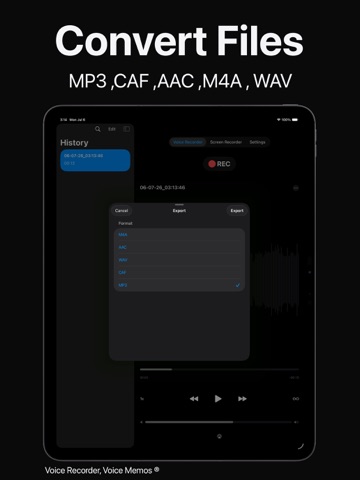 Voice Recorder, Voice Memos ® iPad screenshot