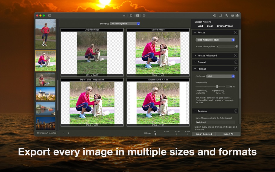 #2. Image Converter Resizer iBatch (macOS) 由: VeprIT