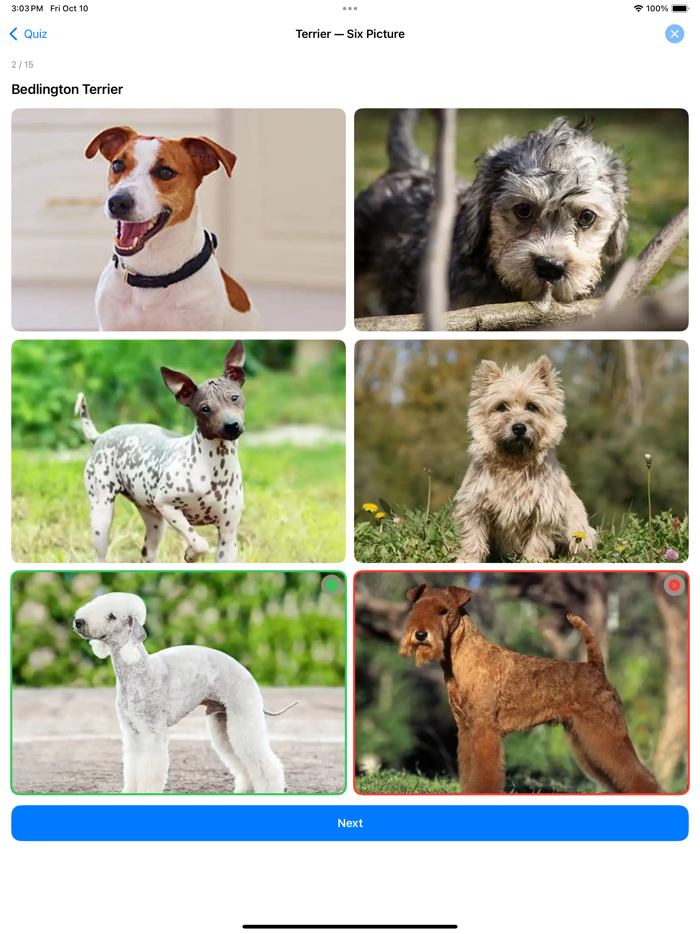 Dogs Quiz Identify Breeds