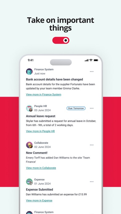 Access Evo Screenshot
