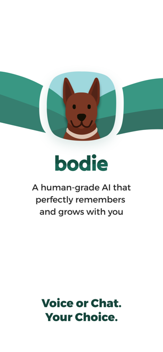 Bodie Screenshot 1 of 8