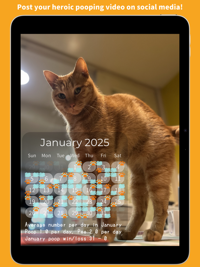 OgenkoCat - Poop Calendar