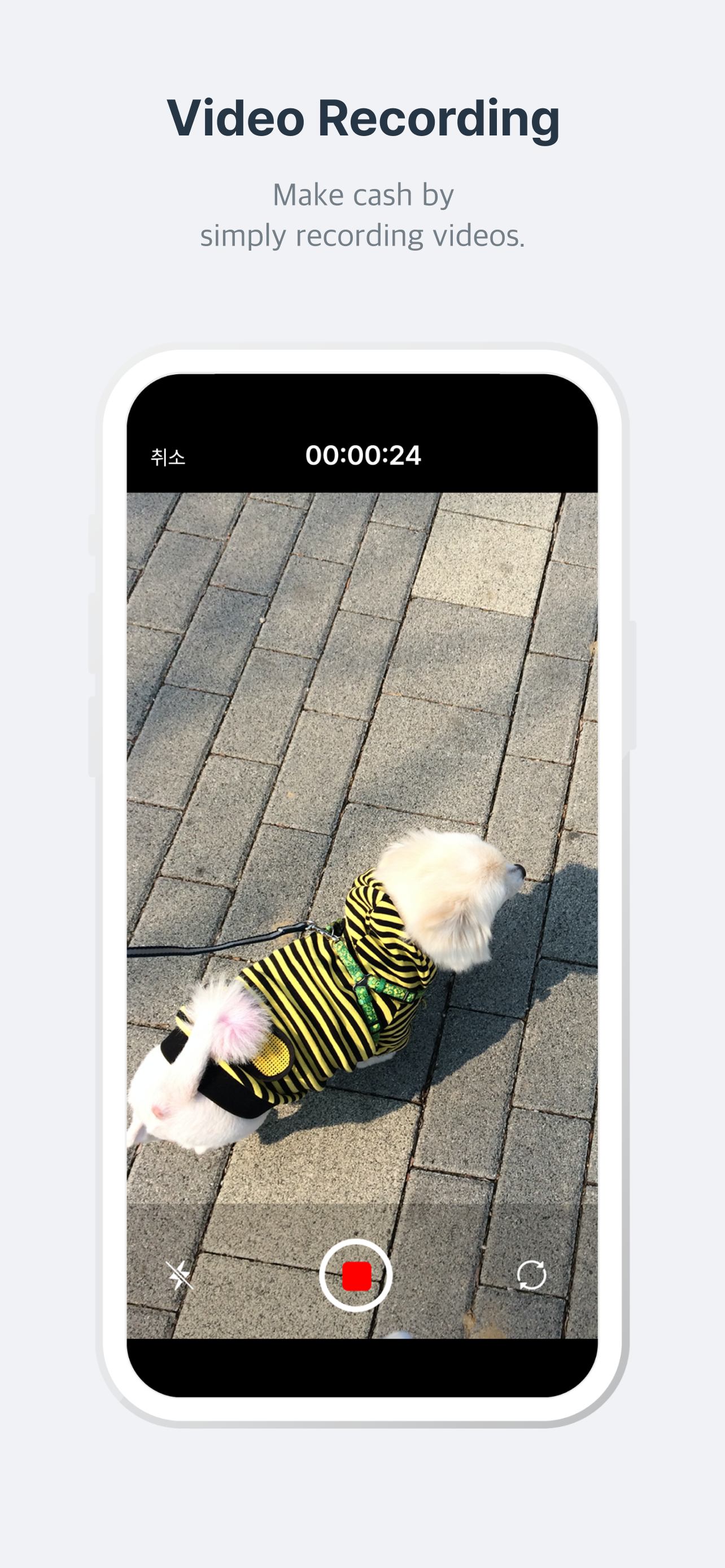 크라우드웍스 screenshot 6