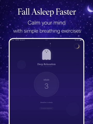 zzz ai iPad screenshot
