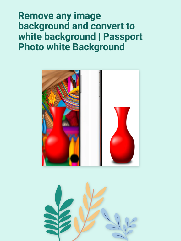 background img remove INGOAMPT iPad screenshot