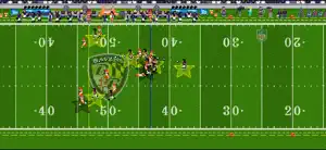 NFL Retro Bowl '27 screenshot 5