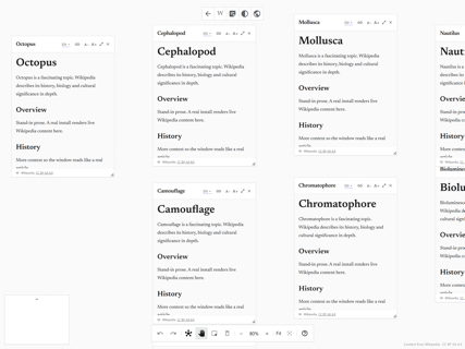 WikiCanvas screenshot 6