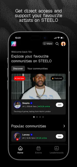 Steelo screenshot 2
