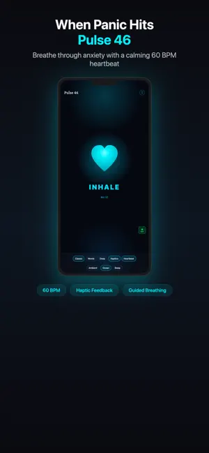 PULSE 46 screenshot 1