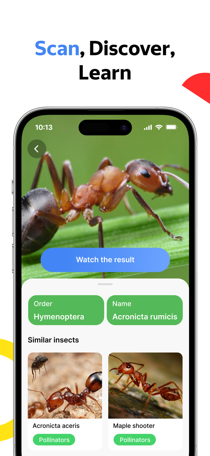 Bug Identifier, ID Finder App