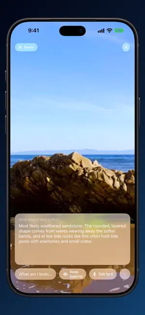 Ari Helper screenshot 2