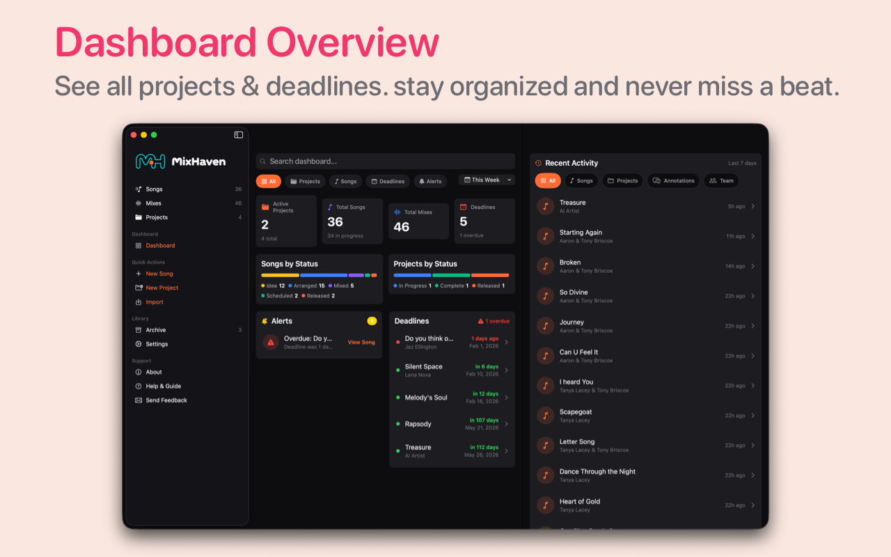MixHaven: Organize Your Music