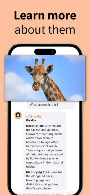 Animal Identifier - Nature ID screenshot 2