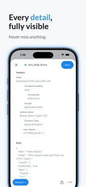 API & HTTP Client screenshot 5