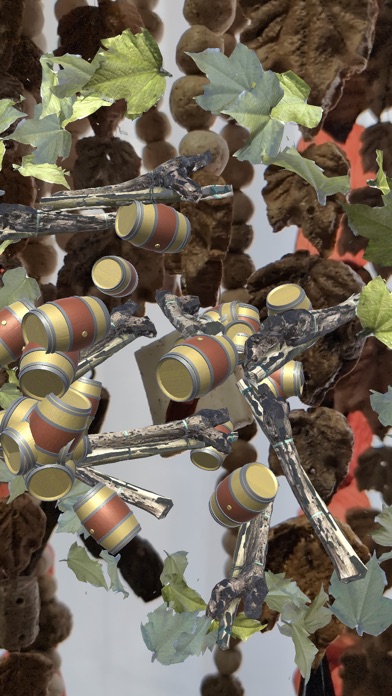 Art and Wine AR Screenshot