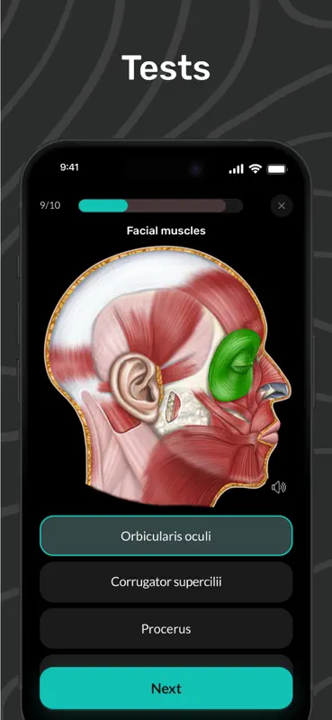 Easy Anatomy 3D con Voice AI screenshot 6 of 9