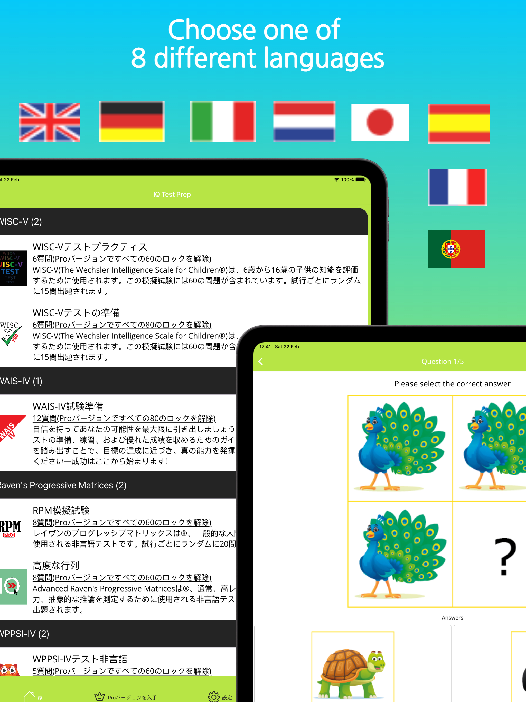 IQ Test Prep (WPPSI,WISC,WAIS)