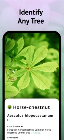 Tree Leaf Identifier Screenshot 8 of 8