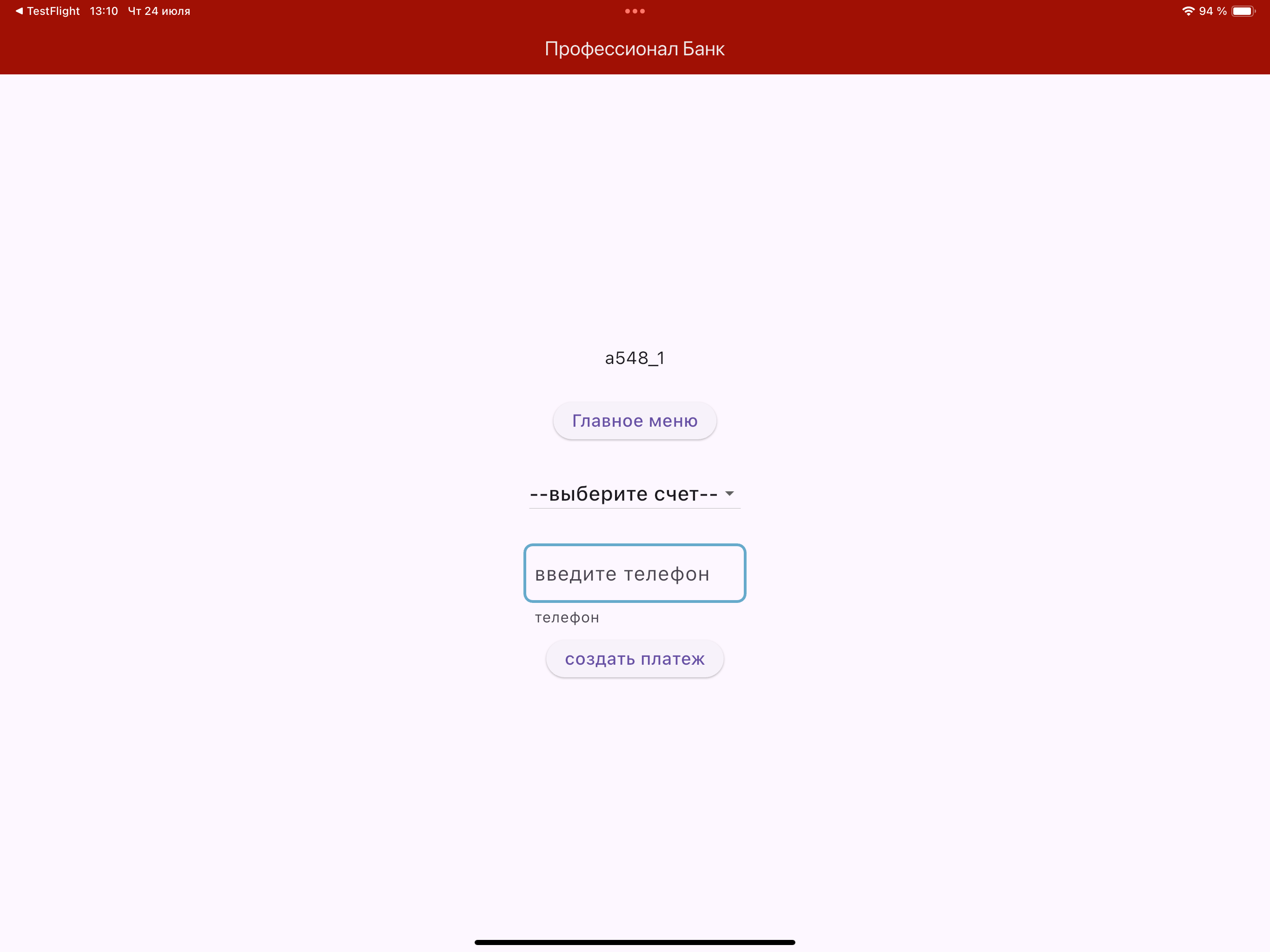 ProBank_2025 screenshot 9