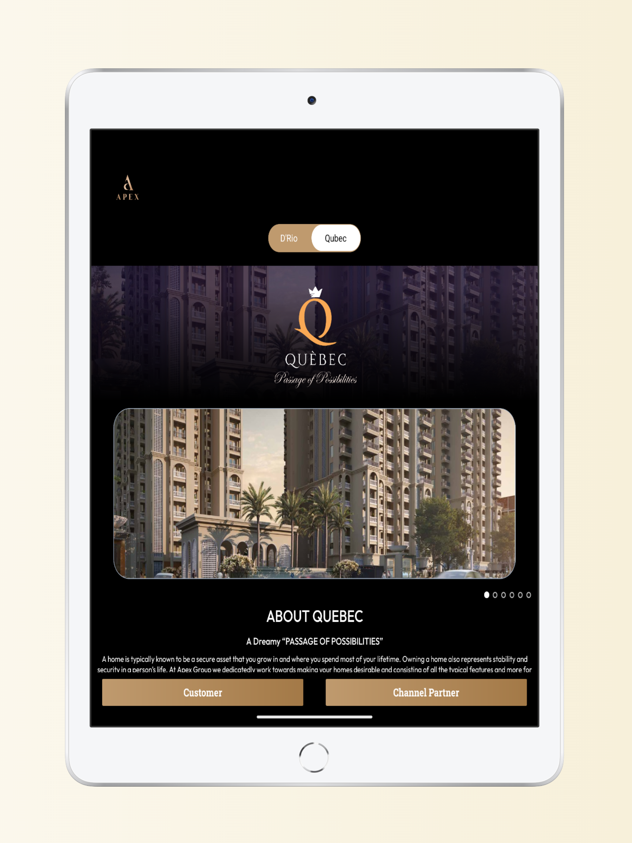 APEX GROUP