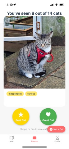 NeighborCats screenshot