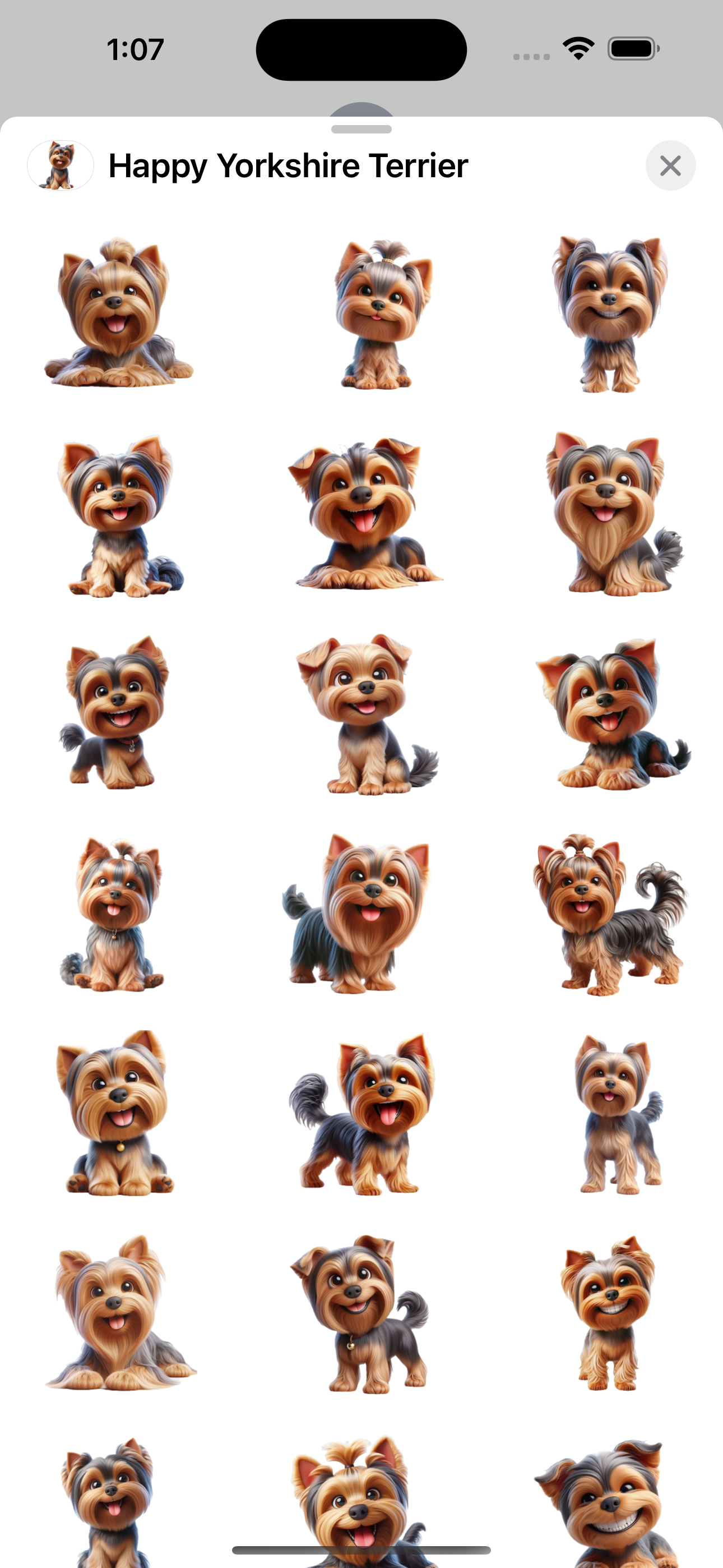 Happy Yorkshire Terrier