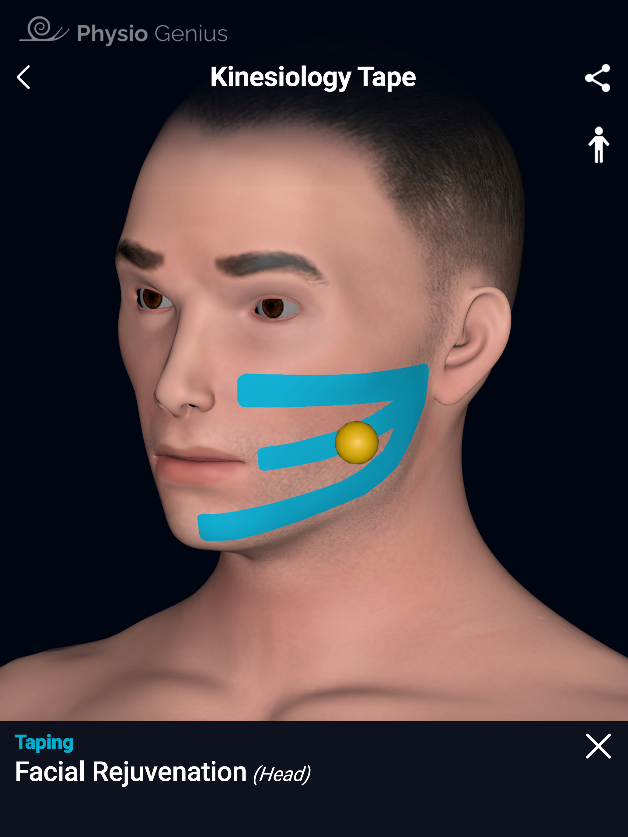 Physio Genius – 3D Maps