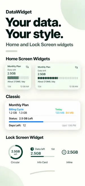 DataWidget screenshot 2