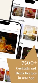 Cocktail Recipes Mixology screenshot