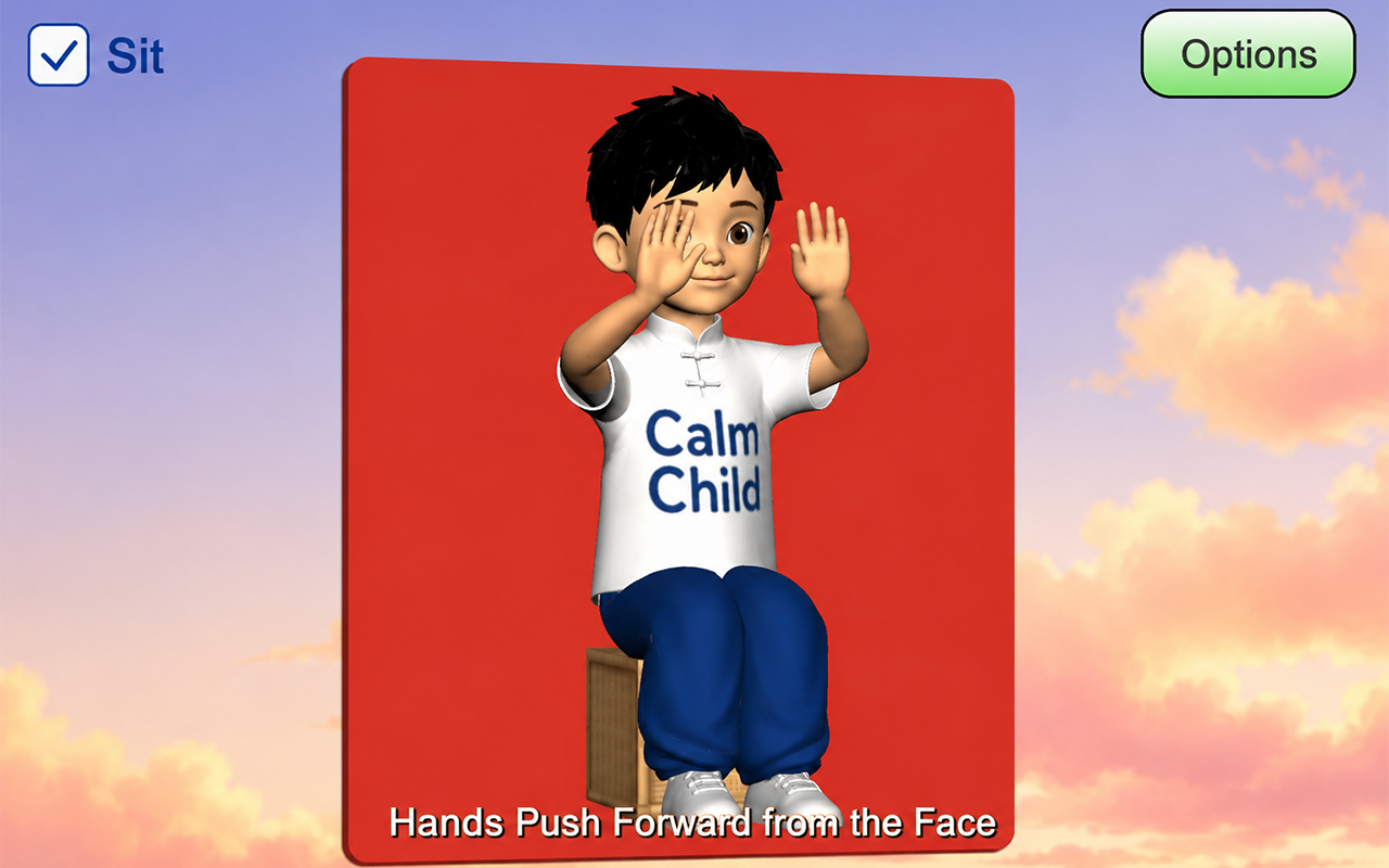 Chair Tai Chi 2027