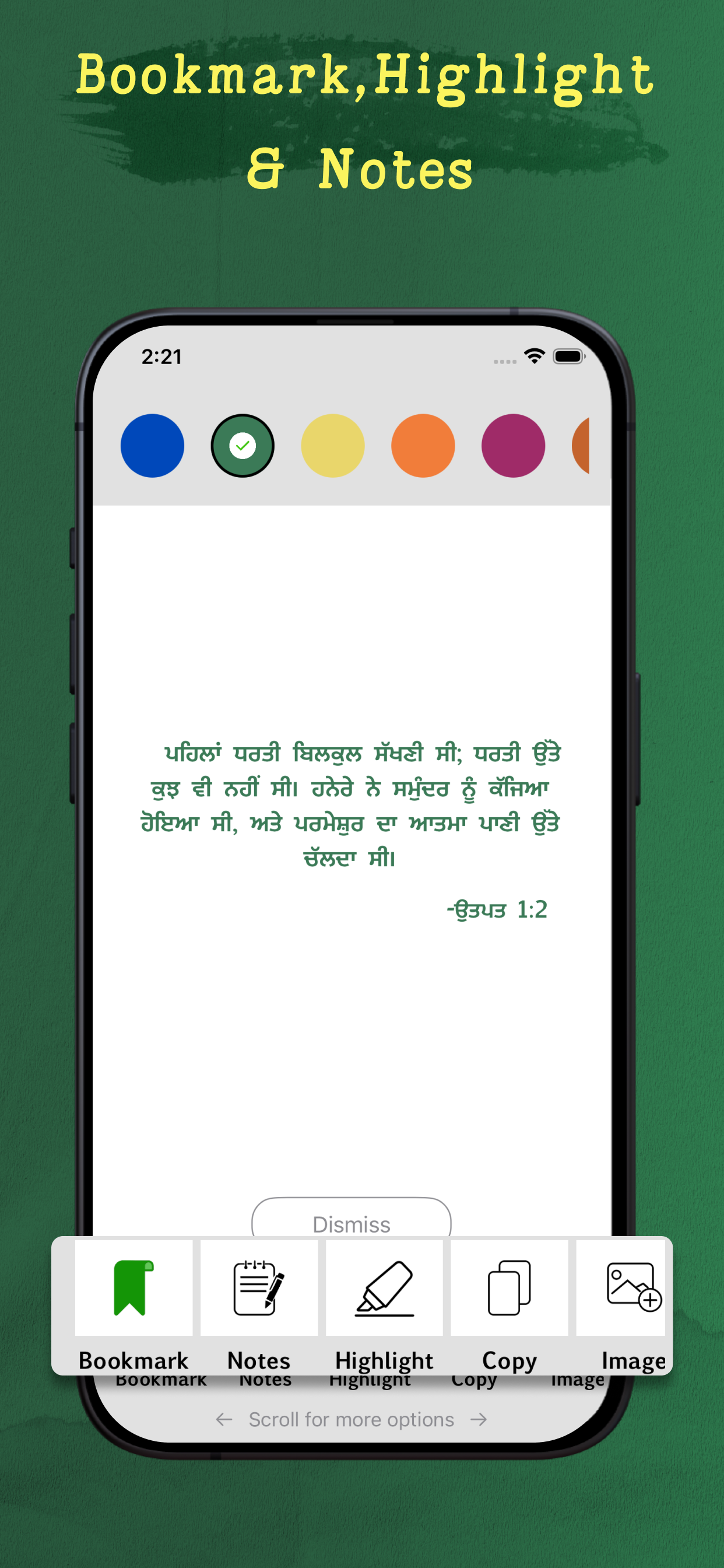 Punjabi Bible - Offline