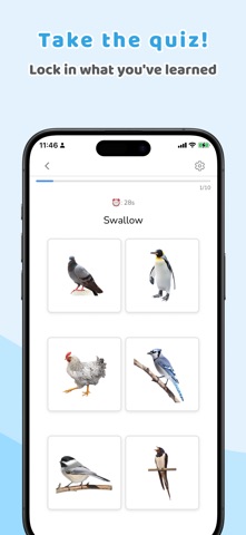 Word Explorer: Fun with Words screenshot