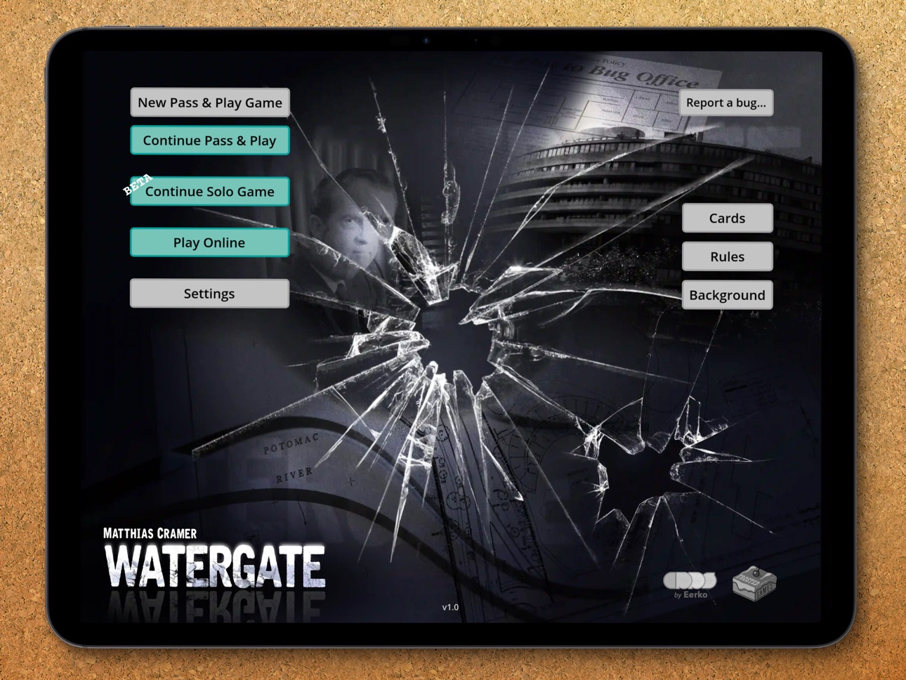iPad screenshot
