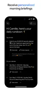 Google Gemini screenshot 6