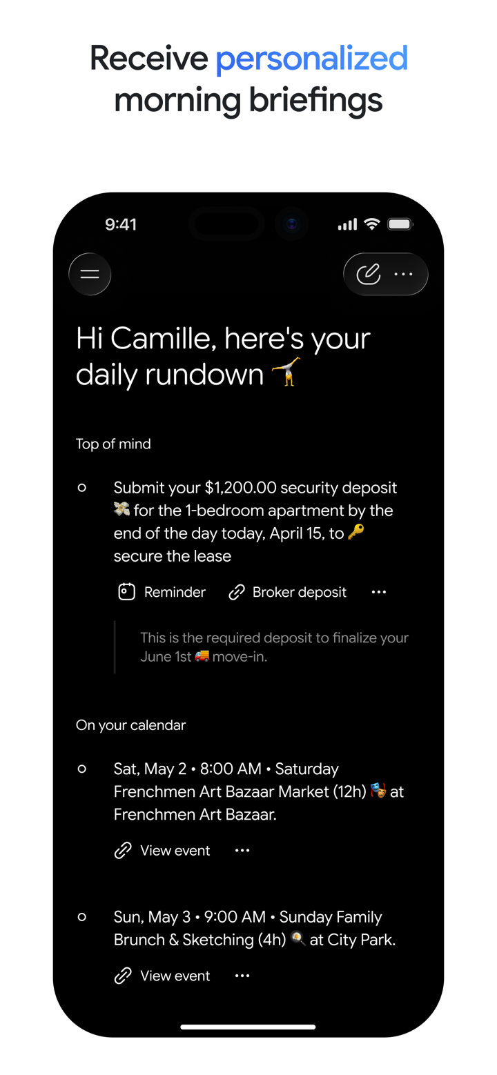 Google Gemini screenshot 6