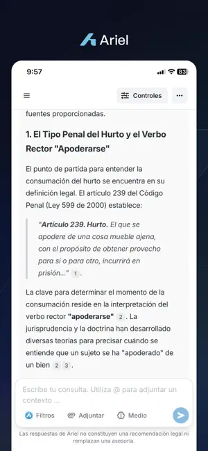 Ariel - IA Legal screenshot 3