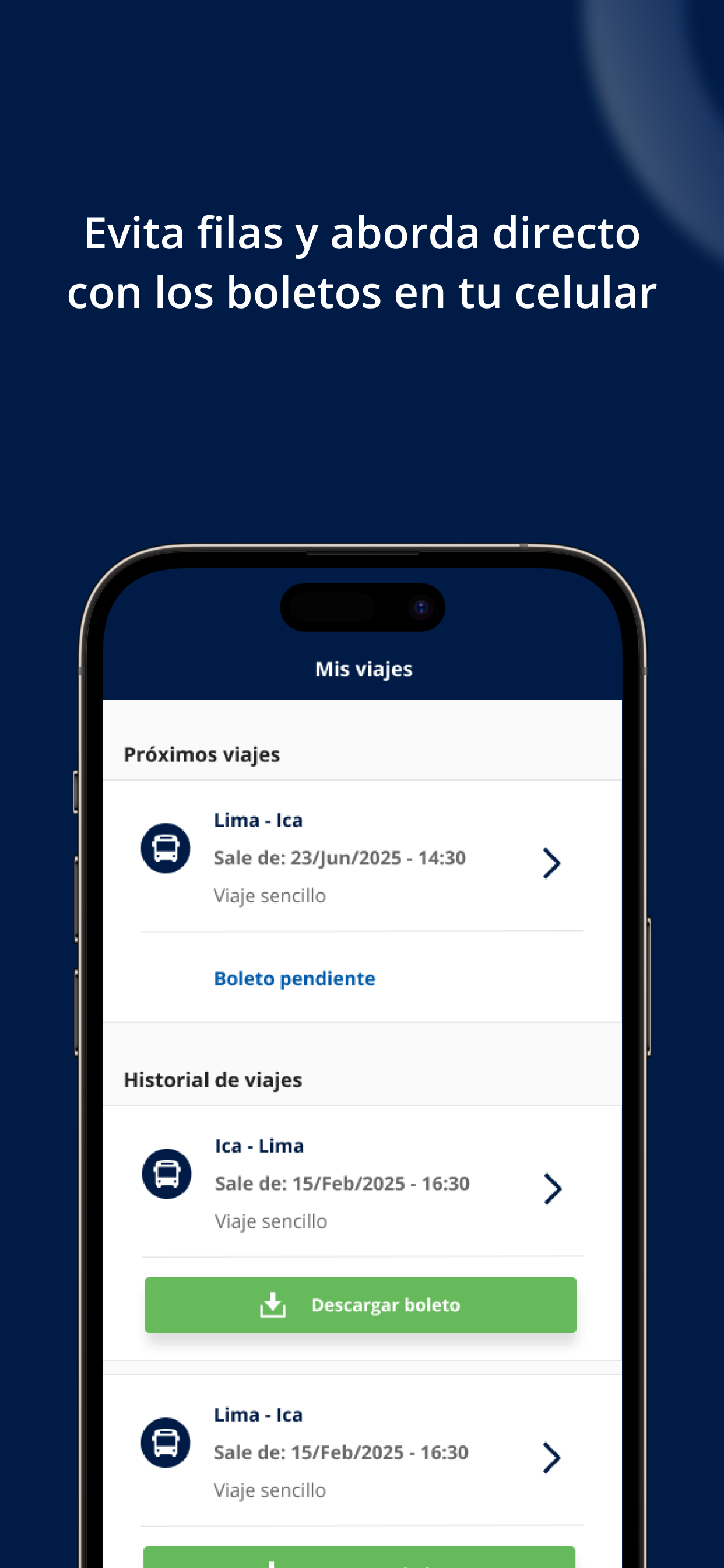 Cruz del Sur Viajes
