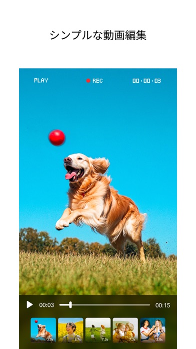 スクリーンショット 7