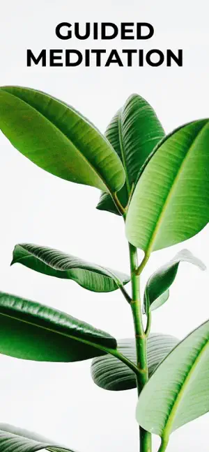 Meditation Timer + Log4+_3