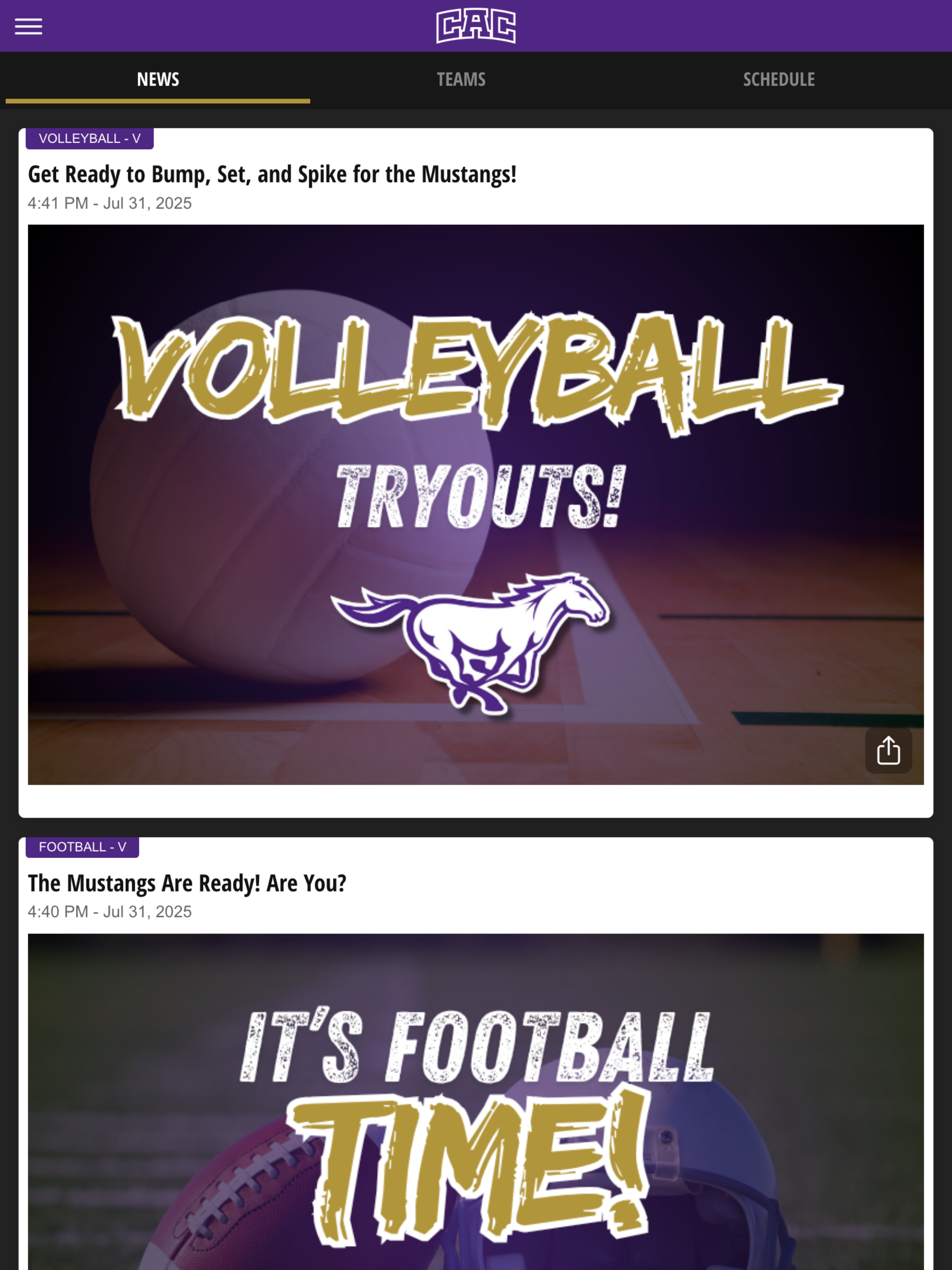 CAC Mustangs screenshot 9