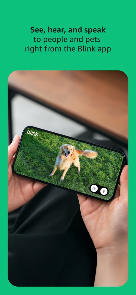 Blink Home Monitor - Interactive Live View