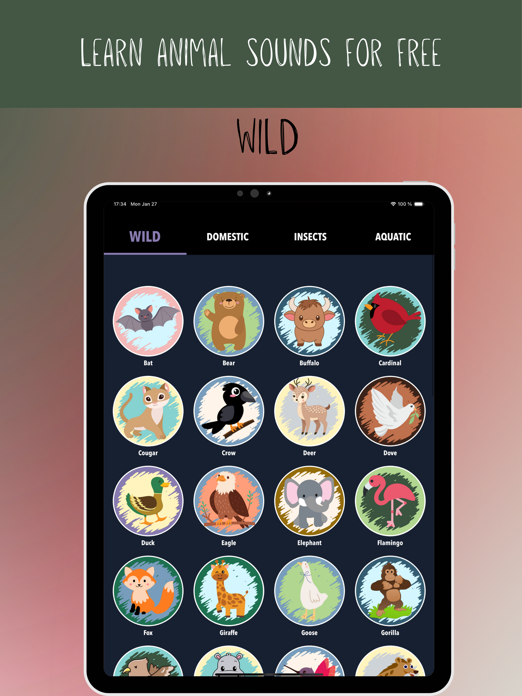 Animal Sounds & Insects 90+ screenshot 7