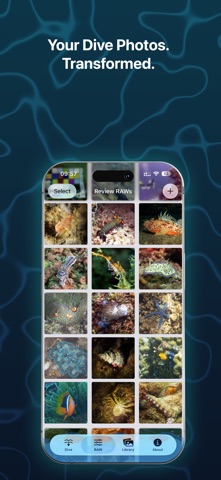 ScubAI: Underwater Photo AI screenshot