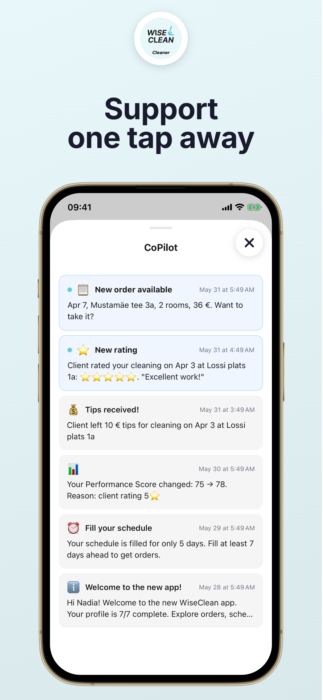 WiseClean Cleaner screenshot 4