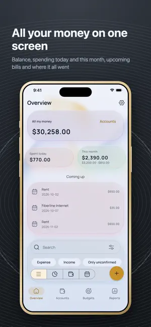 Eluna Budget: Expense Tracker screenshot 1